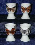 Butterfly Butterflies set of 4 ceramic egg cups