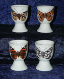 Butterfly Butterflies set of 4 ceramic egg cups