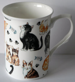 Cats and kittens design bone china 10oz mug,