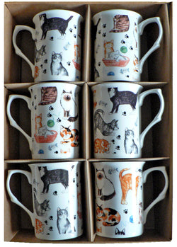 Cat Bone china mugs - set of 6 gift boxed 10oz mugs different cats all round
